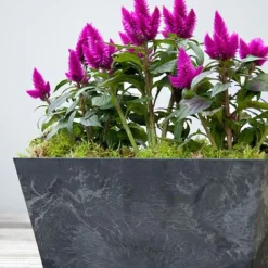 Balcony Trough Ella Black H17Cm D37Cm -Florist Zone 107823 1