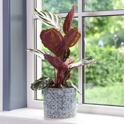 Terni Planter Denim D20Cm H18Cm -Florist Zone 159384 1