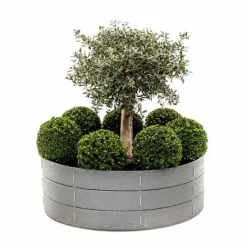 Flex Garden -Florist Zone 592953d