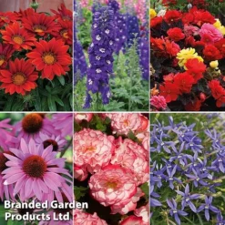 Summer Plant & Seed Bundle -Florist Zone 6 2