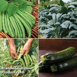 Allotment Seed Collection -Florist Zone ALLO KC9289 C