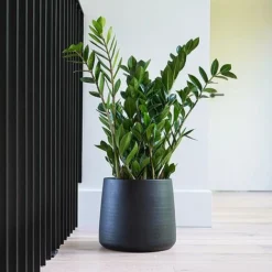 Akemi Planter Carbon Black H20CM D22CM -Florist Zone APCB22 2