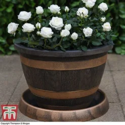 Wooden Barrel Effect Pot & Saucer -Florist Zone BARR KA8437 C