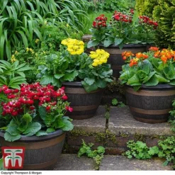 Wooden Barrel Effect Pot & Saucer -Florist Zone BARR POT A1