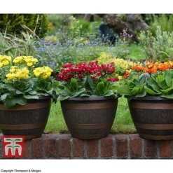 Wooden Barrel Effect Pot & Saucer -Florist Zone BARR POT B1