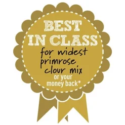 Primrose 'Alaska Improved Mixed' -Florist Zone BIC WIDESTPRIMROSEMIX B h