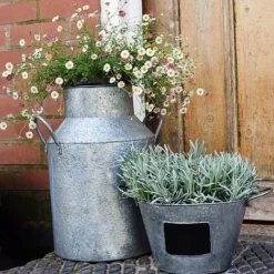 Galvanised Milk Churn H42cm -Florist Zone GMC42 2