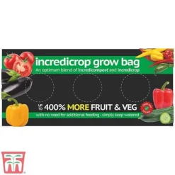 Vegetable Bumper Pack -Florist Zone INCR TKA2825 A1