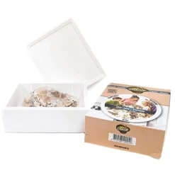 Mushroom Windowsill Kit - Shiitake -Florist Zone KITS MUSHROOM T28359