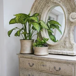 Luxe Bowl White Gold H14CM D24CM -Florist Zone LBWG24 3