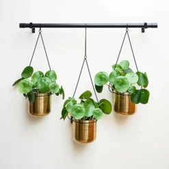 Linear Hanging Planters 81CM Black And Gold -Florist Zone LHPB81 1