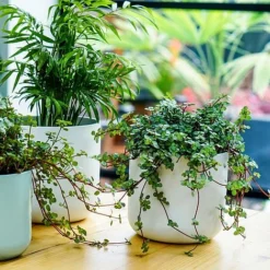 Lisbon Planter White H26Cm D26Cm -Florist Zone LPW26 1