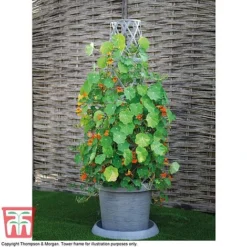 Modern Grey Patio Pot -Florist Zone MODE KA6953 C2