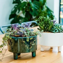 Pisa Emerald Bowl H14Cm D19Cm -Florist Zone PEB19 1