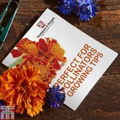 Pollinator Flowers Growing Kit -Florist Zone PERF TKA1544A C