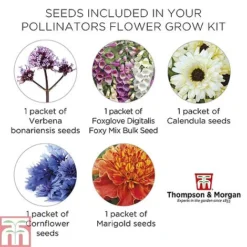 Pollinator Flowers Growing Kit -Florist Zone POLL TKA1544 E