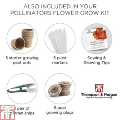 Pollinator Flowers Growing Kit -Florist Zone POLL TKA1544 F