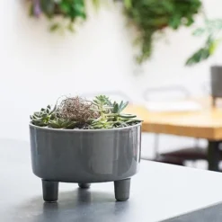 Florist Zone -Florist Zone PSB19 1