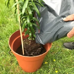 'Pot Master' Drainer Disc (packs Of 3) -Florist Zone Pot20Master201000x100020820kb