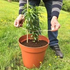 'Pot Master' Drainer Disc (packs Of 3) -Florist Zone Pot20Master201000x100020880kb