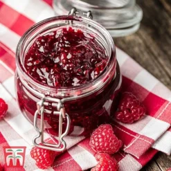 Raspberry 'Little Sweet Sister' 6 Raspberry 'Little Sweet Sister' -Florist Zone RASP RECIPE CUL