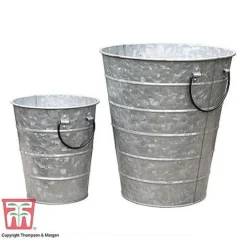 Rustic Planter -Florist Zone RUST WGKB7411 C2