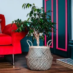 Seagrass Chevron Black Lined Basket Small H25Cm D30Cm -Florist Zone SCBB30 2