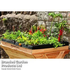Garden Grow Large Wooden Planter -Florist Zone TRUG WOODENGRO B12643