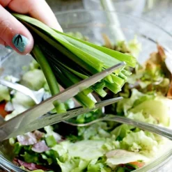 Allium 'Quattro' -Florist Zone VEALL35203