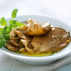 Mushroom Windowsill Kit - Oyster -Florist Zone VEMUS22773