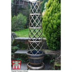 Wooden Barrel Effect Tower Pot -Florist Zone WOOD KB0330 A
