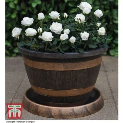 Wooden Barrel Effect Tower Pot -Florist Zone WOOD KB0330 E