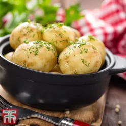 Potato 'T&M Favourites Collection' -Florist Zone arran2