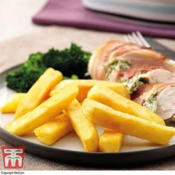 Potato 'T&M All Year Round Collection' -Florist Zone mcprem2