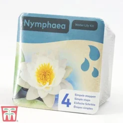 Water Lily White With A Pond Basket -Florist Zone nymp white