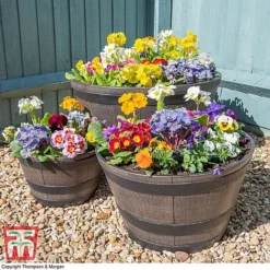 Wooden Barrel Effect Planter – Large -Florist Zone wood bar41