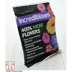 Clematis 'New Love' 19 Clematis 'New Love' -Florist Zone z INCR T47963 E h3